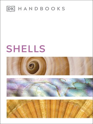 Shells - ebook